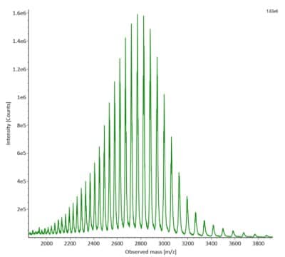 Summed mass spectra for non-reduced SigmaMAb reference with intensity measured in counts on the y-axis and observed mass on the x-axis