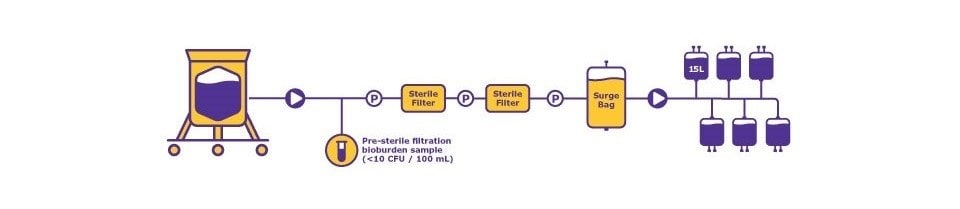 For this study, 150L of media are needed in the form of 10 x 15L bags. The 150 L of media are passed through a pre-sterilization step and two sterilization steps before being collected in a surge bag. Contents of the surge bag are then aliquoted into the 15L bags.