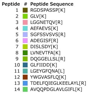 Table with MSRT1 peptide sequences. Labelled amino acids in brackets.