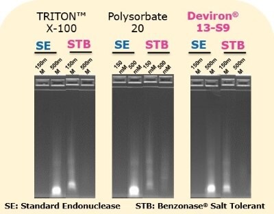 Benzonase<sup>®</sup> Salt Tolerant endonuclease retains its ability to digest DNA when used in combination with a variety of detergents including Polysorbate 20, Triton X-100, Deviron<sup>®</sup> C16, or Deviron<sup>®</sup> 13-S9.