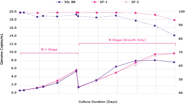 Figure 7. VirusExpress® 293 AAV Production Cells were cultured for batch growth in Mobius® 50 L Single-Use Bioreactor. Cells were seeded at 6 x 105cells/mL and diluted with fresh media on Day 3. Peak viable cell density (VCD) of 8 x 106cells/mL was obtained in Mobius® 50L bioreactor with viability >90%.