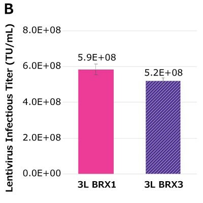 Infectious titer in the 3L bioreactor At harvest time point of 48 hours post-transfection (Day 3), VCD of 6E+06 to 7.5E+06 vc/mL was achieved in Mobius® 3 L Bioreactors (BRX) while maintaining harvest viability of > 90%. Infectious titers of 5.2E+08 TU/mL to 5.9E+08 TU/mL were obtained in two Mobius® 3L bioreactors