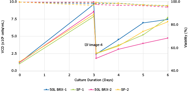 Figure 4. VirusExpress® 293T Lentiviral Production Cells were expanded in Mobius® 50 L Single-Use Bioreactor at N-1 stage for 3 days, and then fresh medium was added volume up to 40L working volume. Cells were grown for 1 day prior to transfection with PEI based transfection reagent and 3rd generation lentivirus packaging plasmids and transfer plasmid with GFP reporter gene.  A total of 2 runs were completed.  Solid lines are cell growth data while dashed lines are cell viability (Figure 4). The bar graph consists of lentivirus infectivity titers obtained with HT1080 cells (Figure 5).