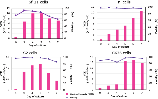 Figure 12. EX-CELL® CD Insect Cell Medium supports the growth of multiple insect cells. Sf-21, Tni, S2 and C636 cells were adapted for at least three passages in the EX-CELL® CD Insect Cell Medium. After adaptation, cells were seeded at 0.5x106 cells/mL on day zero. Viable cell density (VCD) and viability were followed for 7 days.