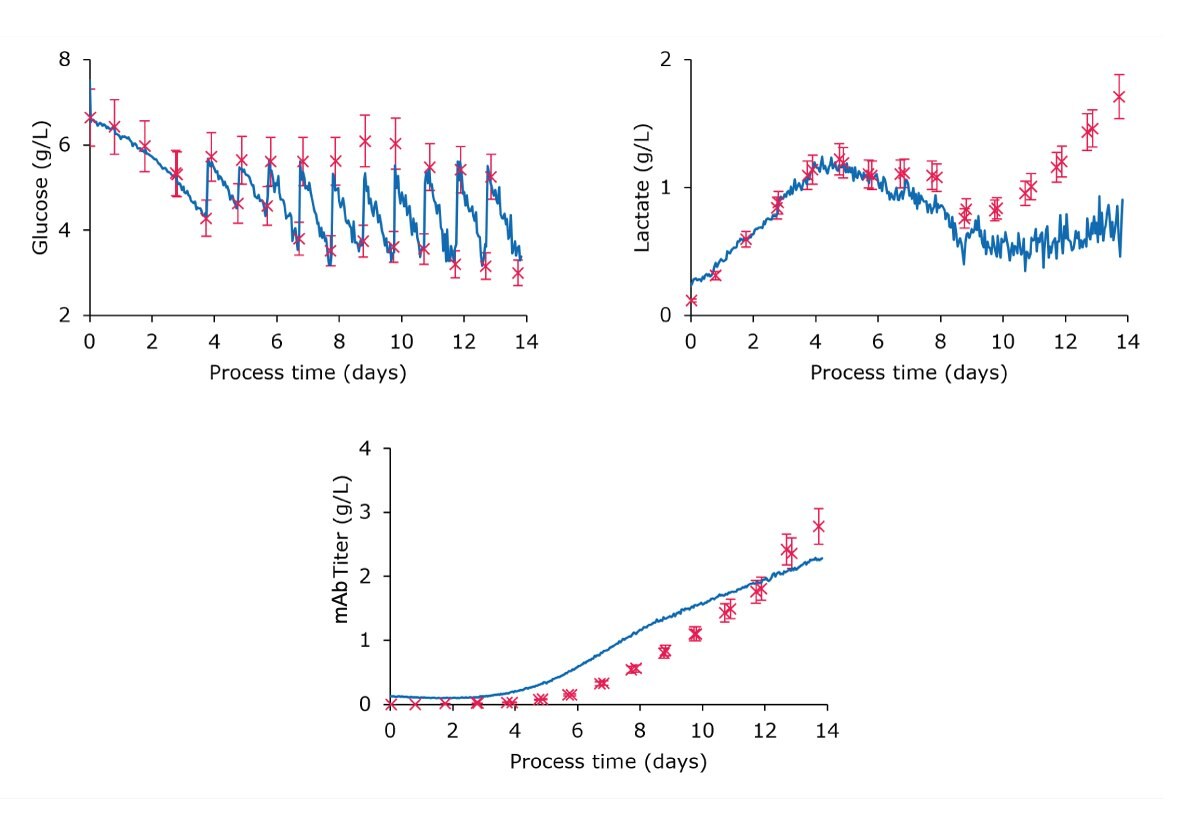 Monitoring plots comparing the embedded real-time Raman monitoring values (blue continuous lines) to off-line references (red crosses) of glucose, lactate, and mAb titer, demonstrating the good correlation of the measurement data. Monitoring plots comparing the embedded real-time Raman monitoring values (blue continuous lines) to off-line references (red crosses) of glucose, lactate, and mAb titer, demonstrating the good correlation of the measurement data.