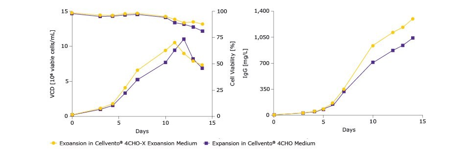 38406_Preparing_CHO_Cells_Whitepaper_Images_620x320 生物反应器确认与Cellvento® 4CHO的相容性