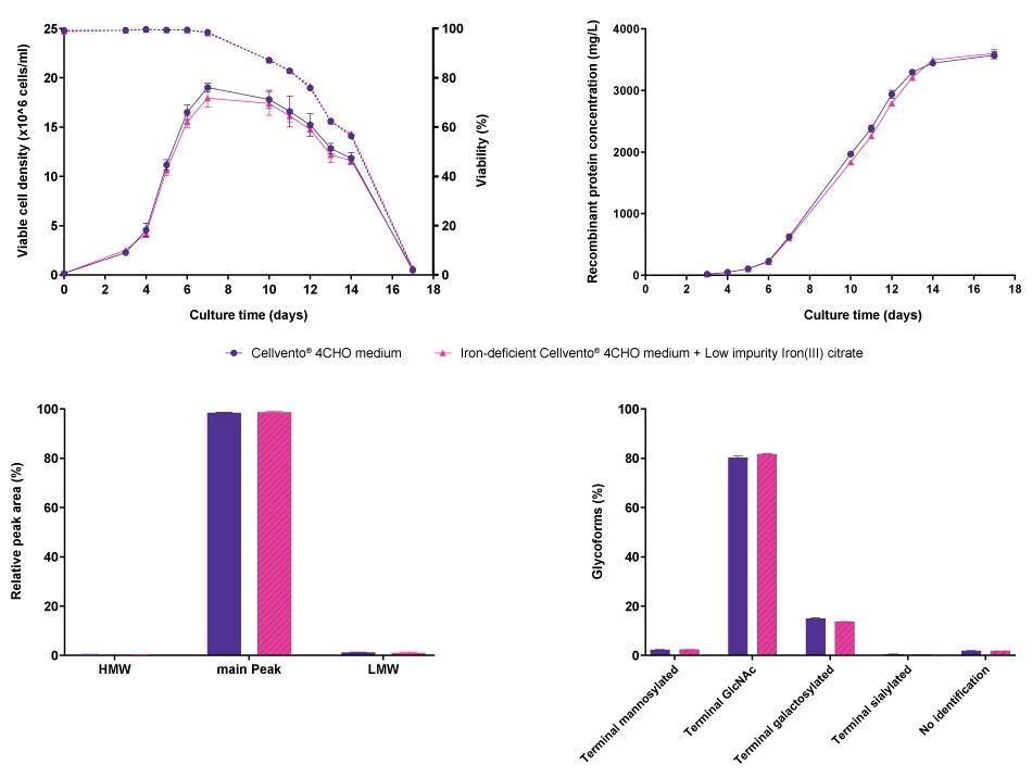 Cell line performance and CQA profiles for CHO K1 mAb1 Line graphs and bar charts showing results for cell line performance parameters viable cell density, viability, and recombinant protein concentration, as well as protein characteristics molecular weight and glycoforms in CHO K1 cells producing mAb1, comparing Cellvento® 4CHO COMP and iron-deficient Cellvento® 4CHO medium supplemented with Low impurity Iron(III) citrate for Cell Culture Media. No differences were observed.