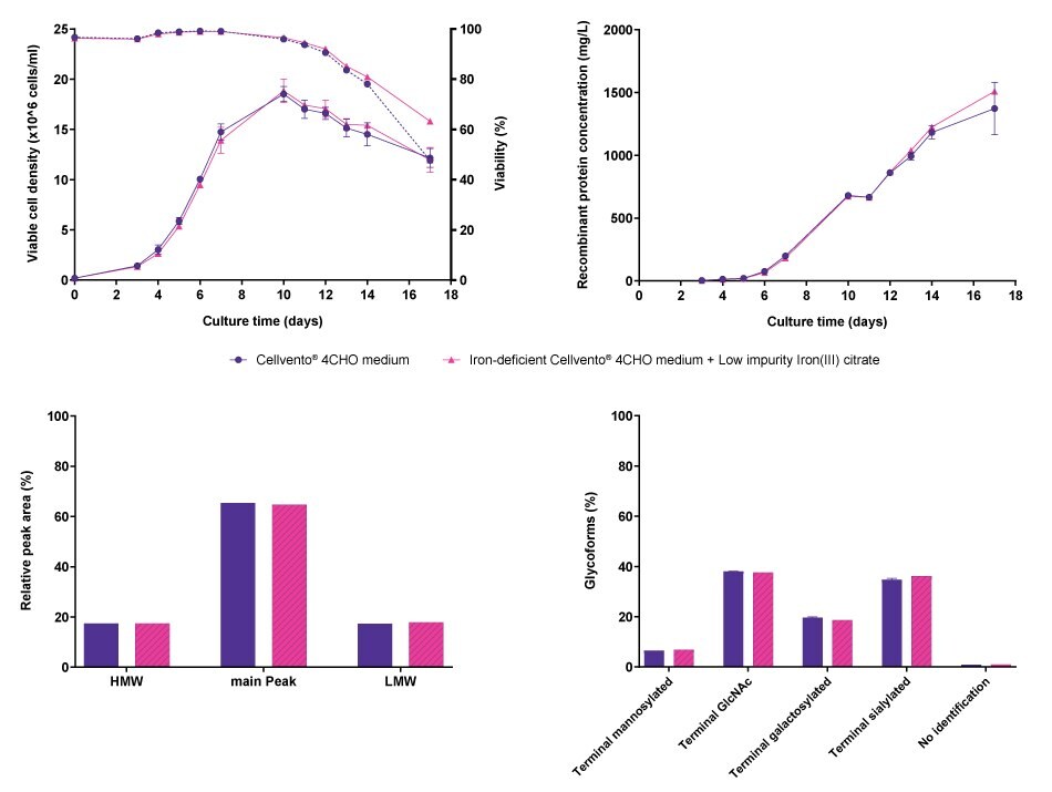 Cell line performance and CQA profiles for CHOZN<sup>®</sup> fusion protein 1 Line graphs and bar charts showing results for cell line performance parameters viable cell density, viability, and recombinant protein concentration, as well as protein characteristics molecular weight, and glycoforms in CHOZN® cells producing fusion protein 1, comparing Cellvento® 4CHO COMP and iron-deficient Cellvento® 4CHO medium supplemented with Low impurity Iron(III) citrate for Cell Culture Media. No differences were observed.
