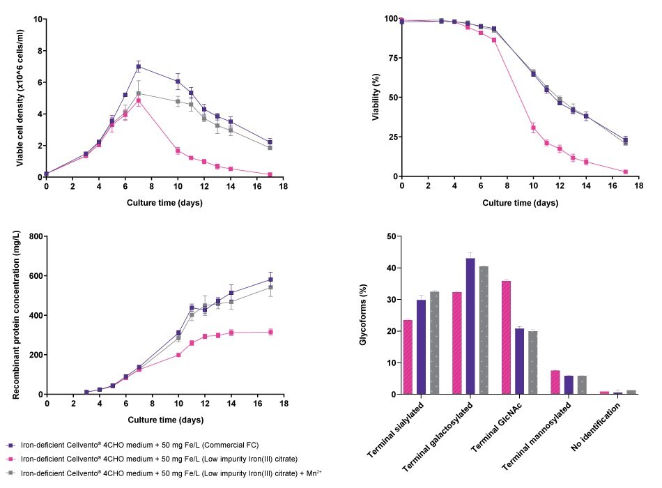 : Effect of iron-containing manganese impurity on cell line performance and glycosylation profile for CHOZN<sup>®</sup> fusion protein 1 Line graphs and bar charts showing results for viable cell density, viability, recombinant protein concentration, and glycoforms of CHOZN® fusion protein 1 cell line in Cellvento® 4CHO medium with an elevated iron concentration compared to iron-deficient Cellvento® 4CHO medium supplemented with Low impurity Iron(III) citrate for Cell Culture Media and the latter with adjusted manganese level. Results show that use of commercial iron sources and low-impurity iron citrate with added manganese achieves similar results while low-impurity iron citrate without manganese addition differs in all cases.