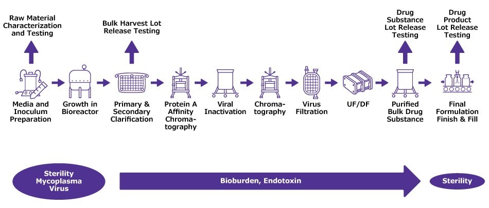 Schematic Process flow showing recommendations for Raw Material and Lot Release Testing Process flow with icons showing from left, media and inoculum prep, bioreactor, clarification, chromatography, viral inactivation and filtration, UF/DF, purified drug substance and final formulation and fill finish on right side. Characterization and testing is indicated above Media and Inoculum prep while Lot Release Testing is shown before Clarification and at Drug Substance and Drug Product. Sterility, mycoplasma and virus testing is shown under bioreactor, with bioburden and endotoxin testing throughout downstream processing. Drug Product is tested for sterility.