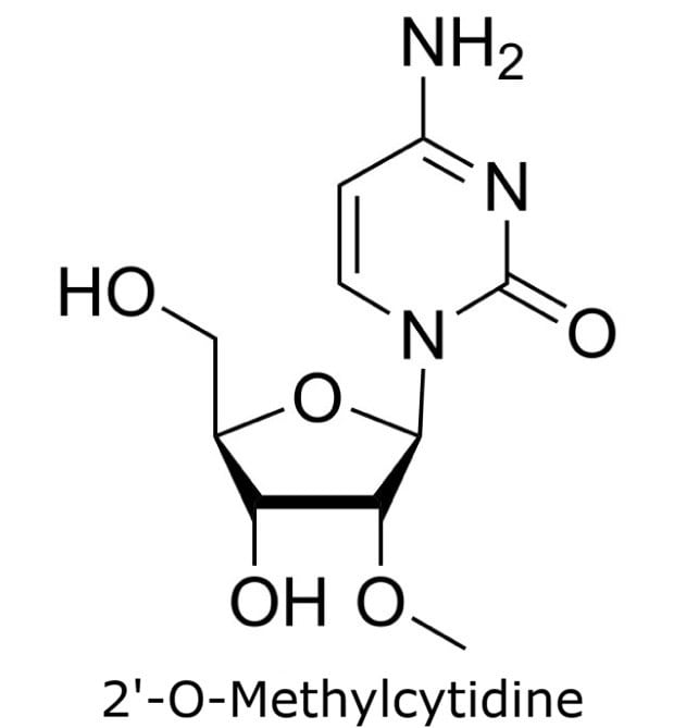 Structure of 2'-O-Methylcytidine Chemical structure of 2'-O-methylcytidine showing a methyl group on the ribose 2' oxygen and a cytidine base.