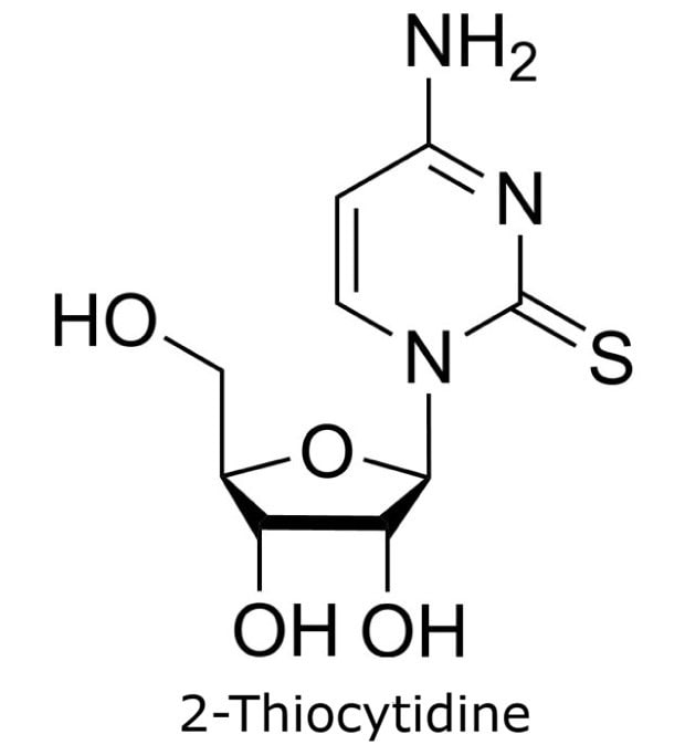 Structure of 2-Thiocytidine Chemical structure of 2-thiocytidine with a sulfur substitution at position 2 of the cytidine base linked to