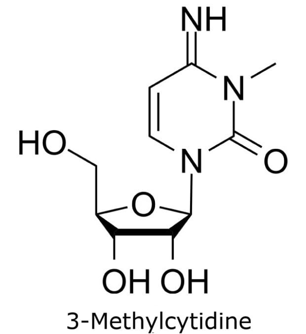 Structure of 3-Methylcytidine Chemical structure of 3-methylcytidine showing a methyl group at position 3 on the cytidine nucleobase with ribose attached.