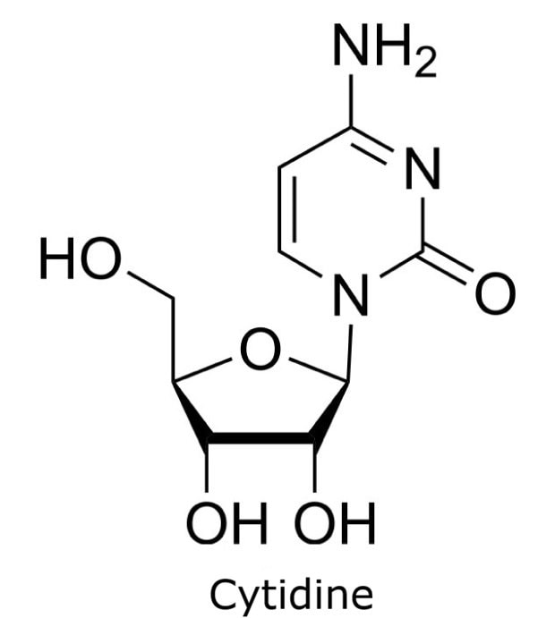 Structure of Cytidine Chemical structure of cytidine showing the cytosine nucleobase attached to a ribose sugar.