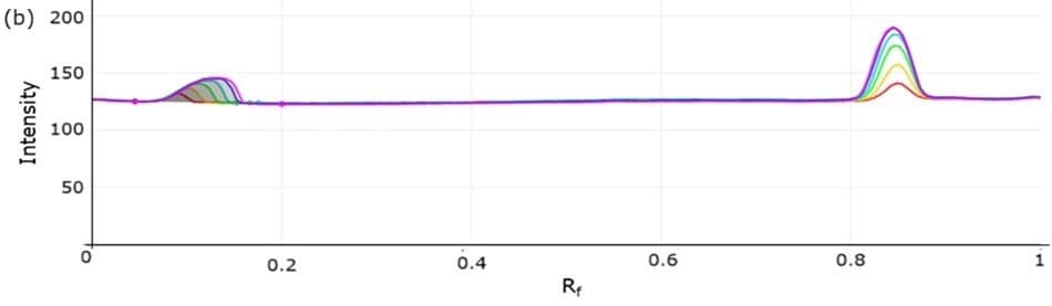 A two-dimensional densitogram showing the same calibration tracks plotted against Rf values on the x-axis and intensity on the y-axis. Here, the same-colored lines show two main sets of peaks corresponding to different compounds, with the higher Rf peaks being sharp and symmetrical, indicating consistent detection. The overlapping stacked nature of the lines demonstrates the increasing concentration gradient used for calibration.