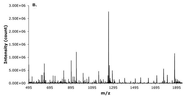 Tandem mass spectrum showing fragmentation pattern of liraglutide with multiple fragment ions across the m/z range.