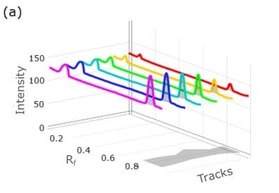 A three-dimensional densitogram with intensity on the vertical axis, Rf values on the horizontal axis from left to right, and track numbers from back to front. Multiple colored lines represent individual tracks corresponding to different concentrations of chlorthalidone. Two prominent peaks are visible in each track at distinct Rf positions, indicating the presence of analyte bands. The peak height increases progressively from the nearest track to the farthest, illustrating calibration using ascending concentrations.