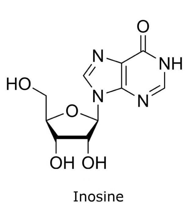 Structure of Inosine Chemical structure of inosine with a hypoxanthine base attached to a ribose sugar.