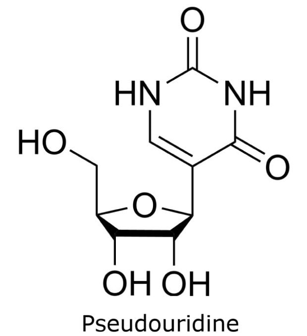 Structure of Pseudouridine Chemical structure of pseudouridine showing a C–C glycosidic bond linking uracil to ribose.