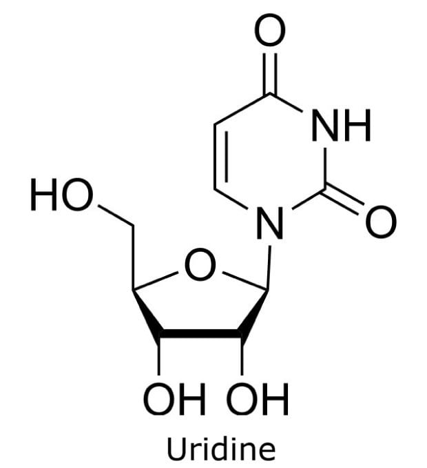 Structure of Uridine Chemical structure of uridine showing the uracil base attached to a ribose sugar.