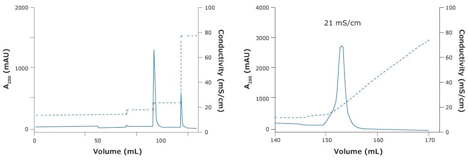 Chromatography of ChAdOx-2-RabG vaccine