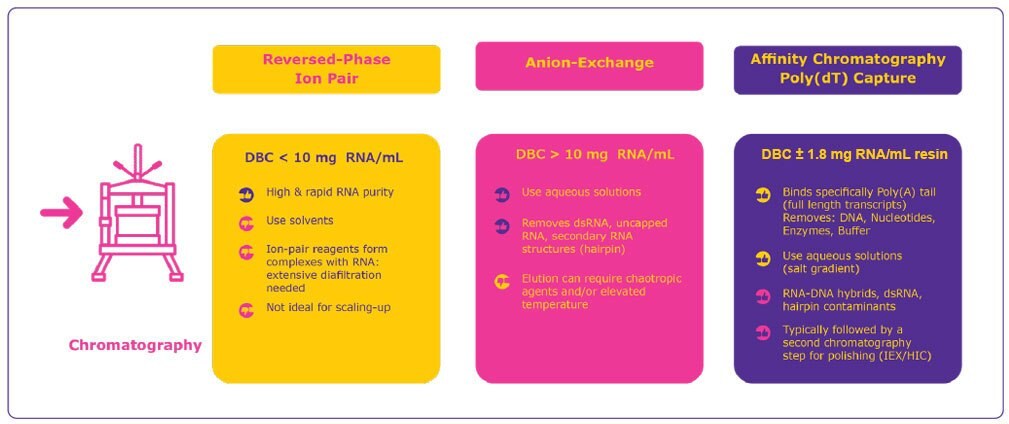 Comparison of reversed-phase ion-pair, anion exchange and affinity chromatography for mRNA purification. DBC: dynamic binding capacity