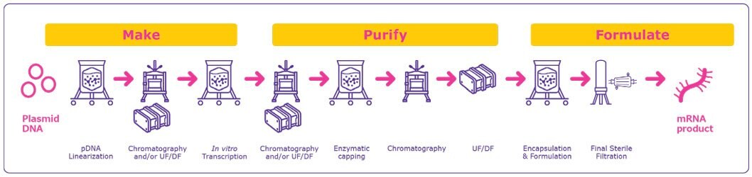 Process flow showing the different processing steps required for the manufacture of an mRNA drug product: pDNA Linearization, purification, in vitro transcription, enzymatic capping, encapsulation and formulation, sterile filtration among others.