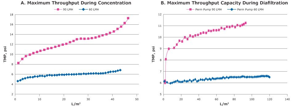 tangential flow filtration with clarified ChadOx2-RabG lysate