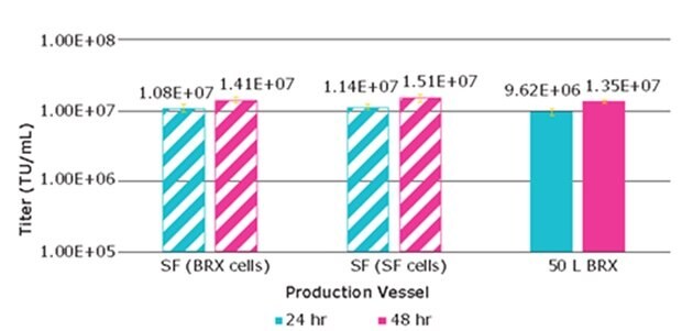 Lentivirus production from VirusExpress® 293T cells from shake flasks or bioreactor after 24 hours and 48 hours