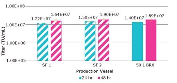 Lentivirus titer from VirusExpress® 293T cells produced via transient transfection