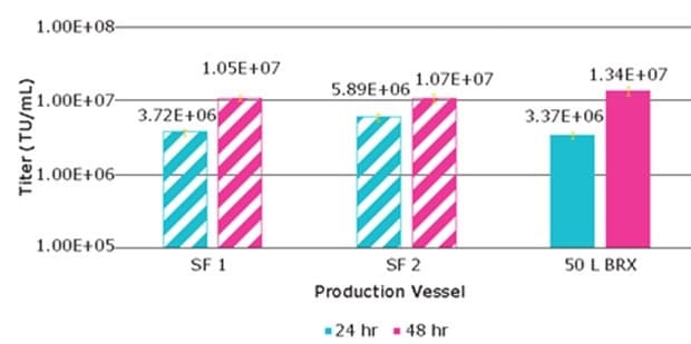 Lentivirus titer from VirusExpress® 293T cells produced via transient transfection