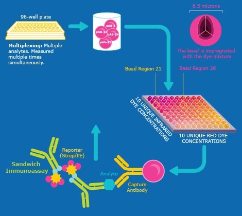 RituPlex and InnoPlex, high-throughput PCAs.