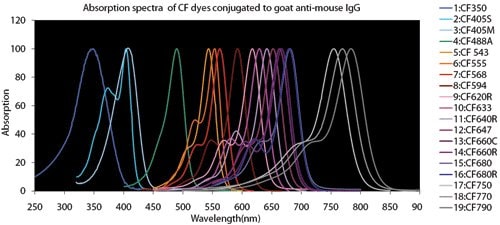 Fluorescent Dye Comparison Chart