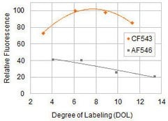 Relative fluorescence of CF543