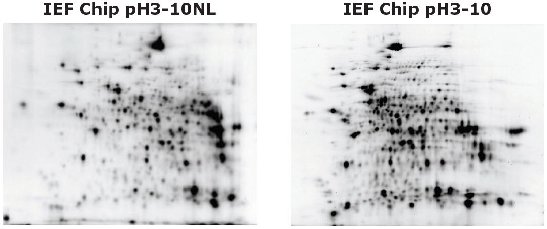 Auto2D® Device IEF Chip pH3-10 and IEF Chip pH3-10NL