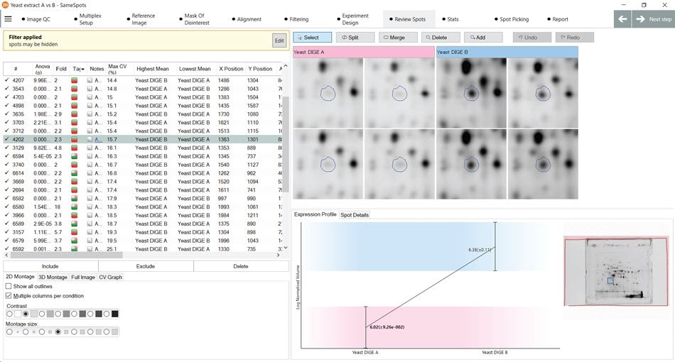 Use of "Quick Tags" feature in the SameSpots software. Demonstration of the “Quick Tags” feature in the SameSpots software that are used to identify spots with a user-configurable fold change in expression
