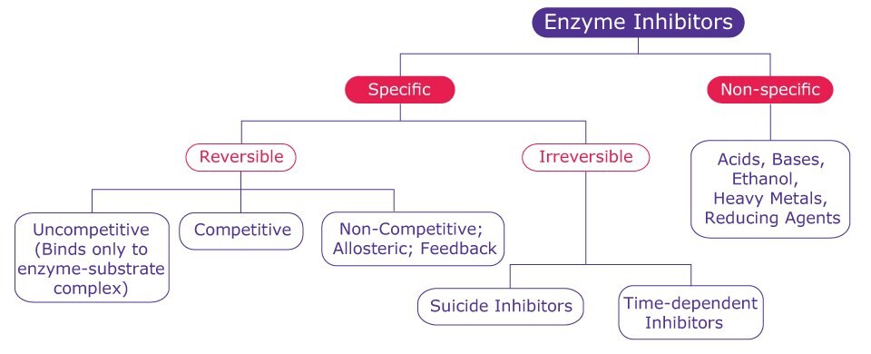 Classification of Enzyme Inhibitors A general breakdown for classifying enzyme inhibitors including specific, non-specific, reversible, irreversible, uncompetitive, competitive, non-competitive, allosteric, feedback, suicide inhibitors, and time-dependent inhibitors.