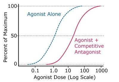 Graph showing the general activity of competitive (reversible) antagonists compared to agonists alone.