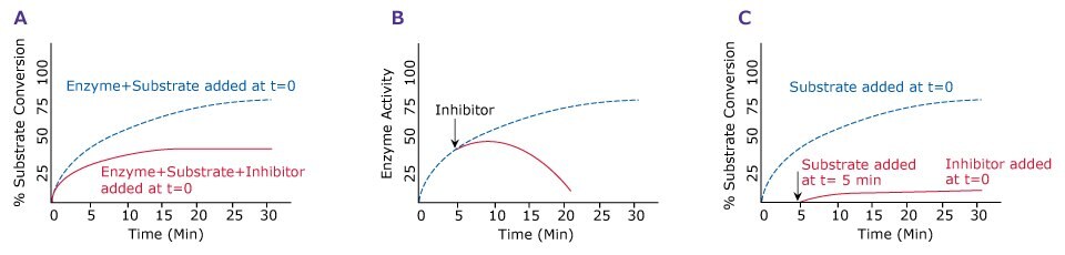 Effect of Timing of Inhibitor Addition on Enzyme Activity Graphs showing the effect of timing of inhibitor addition on enzyme activity with no preincubation with inhibitor, addition of inhibitor to an ongoing reaction, and preincubation with inhibitor.