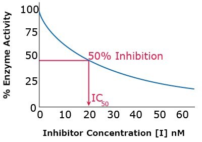 Inhibitor Concentration and IC50 Relationship Graph showing the relationship between inhibitor concentration and IC 50. The curve is nonlinear downward sloping starting at 100% Enzyme Activity going to 25%. The IC50 is shown at 50% enzyme activity, in this case at an inhibitor concentration of 20 nM.