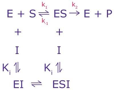 Non-Competitive Inhibition Equation The equilibrium equation for non-competitive inhibition including variables for enzymes, substrates, and the inhibition constant