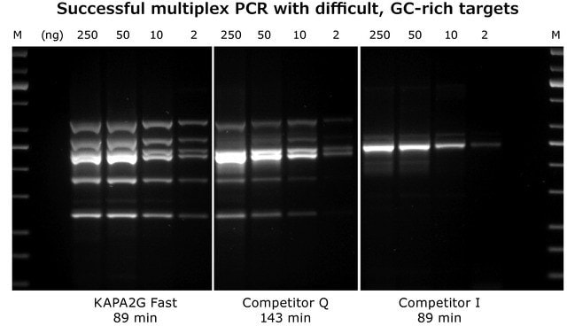 Figure 2: KAPA2G Fast Multiplex PCR Kit: 6-plex multiplex PCR with the KAPA2G Fast Multiplex PCR Kit, Competitor Q and Competitor I using the same cycling conditions (30 cycles).