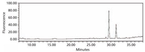 HPLC profile of the 2‑AB labeled N-linked glycan library