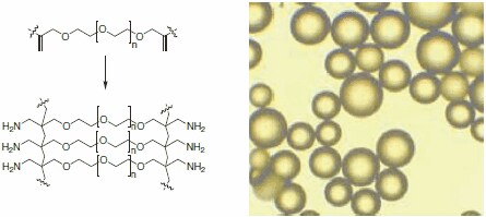 The scaff old of Aminomethyl-ChemMatrix resin is built completely on chemically stable polyether bonds (left). Microscopic image of ChemMatrix beads (right).