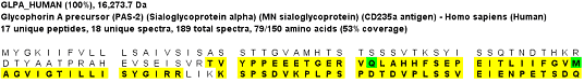 Glycophorin A, before deglycosylation