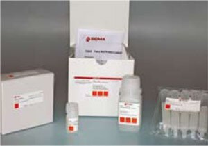 Protein fluorescent labeling kits available in our catalog