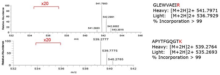 isotopic-incorporation-analysis