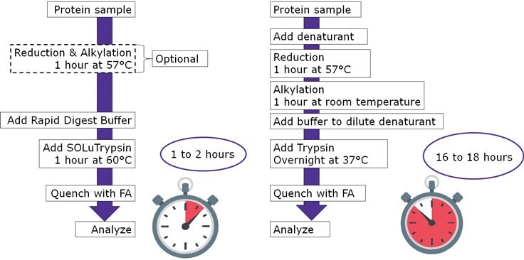 Comparison of Simple and Rapid Digestion Protocol for Proteomics Sample Preparation to Traditional Digest Development of a Simple and Rapid Digestion Protocol for Proteomics Sample Preparation