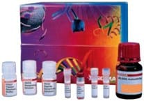 Components of GlycoProfile I, In-Gel Deglycosylation Kit