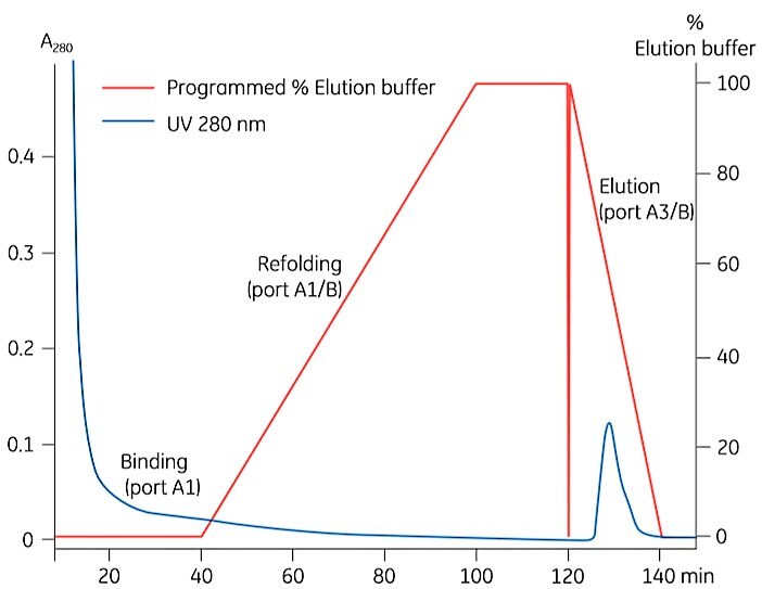 Results for on column refolding